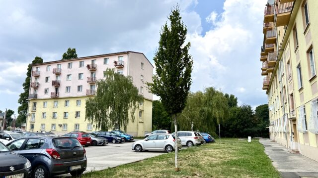 IMG_6547
